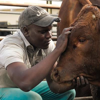 Animal Science